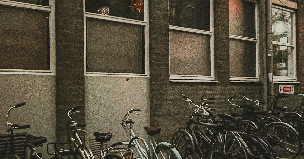 Advanced Listening Strategies for Dutch Language Proficiency