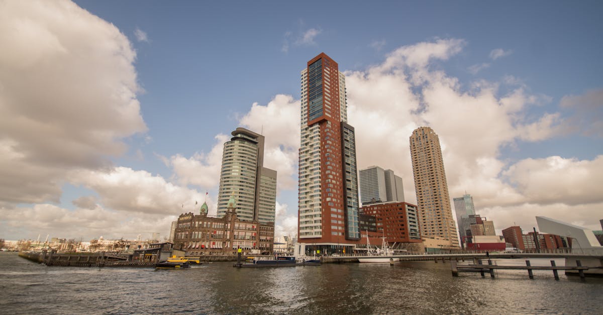 Best Dutch Language Apps for Beginners in Rotterdam