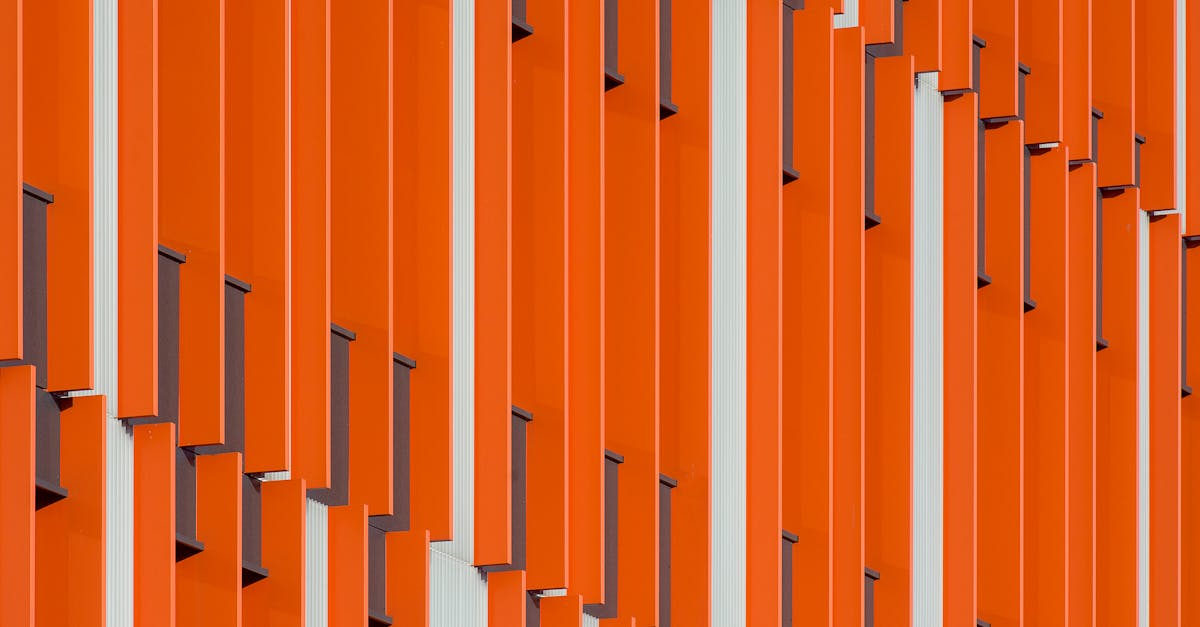 Building Vocabulary: Beginner Dutch Class Techniques