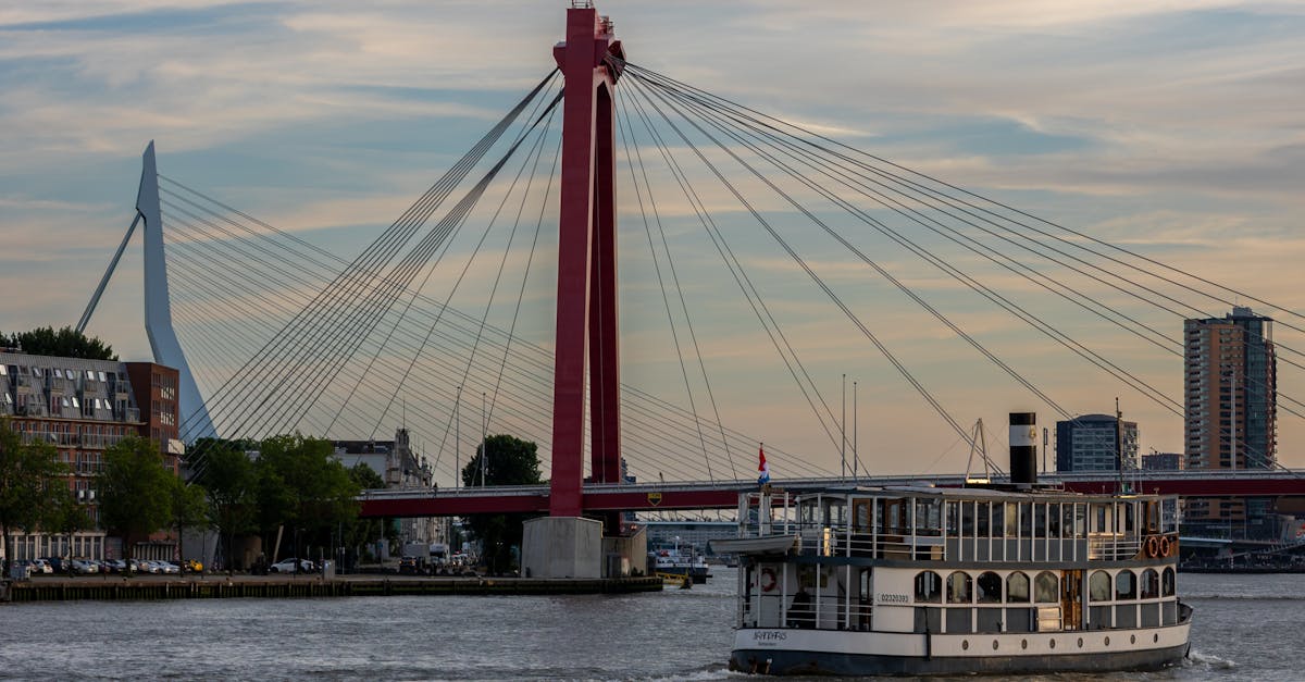 Create Your Personalized Dutch Learning Experience in Rotterdam