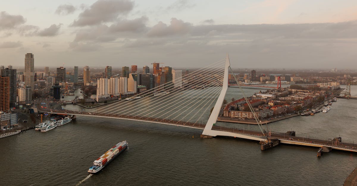 Cultural Insights through Dutch Literature for Language Learners