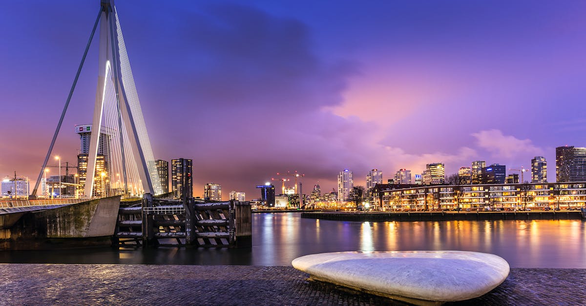 Discovering Dutch Through Online Language Exchange