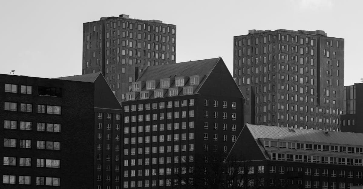 Discovering Local Dutch Conversation Partners in Rotterdam