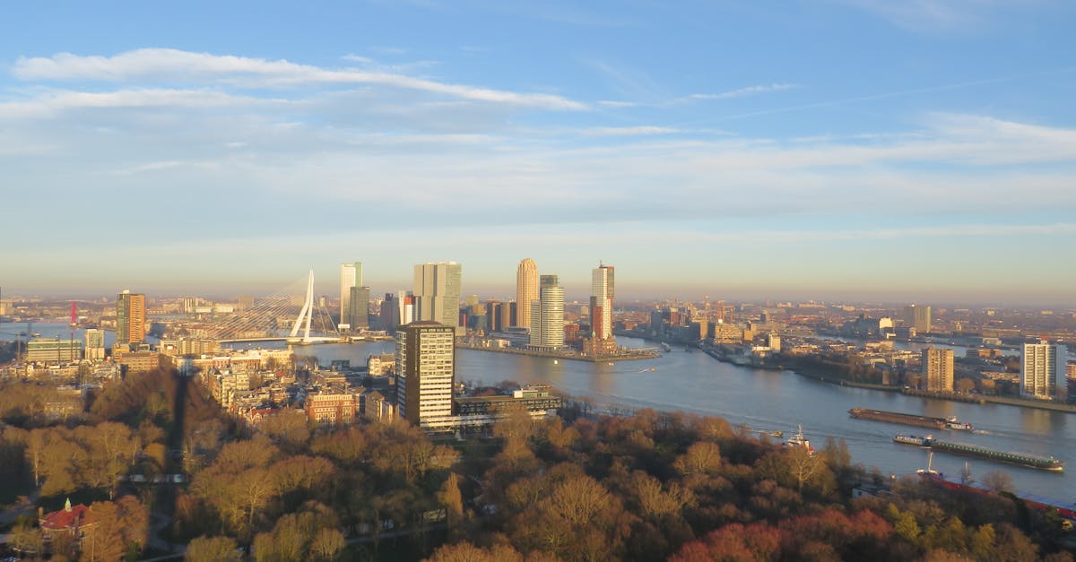 Engaging Games and Tools to Enhance Dutch Learning Experience