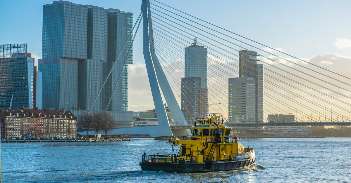 Enhancing Language Skills for the Dutch Business Environment