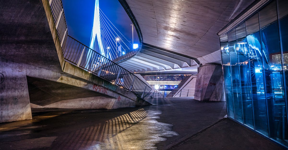 Enhancing Your Dutch Skills Through Community Engagement