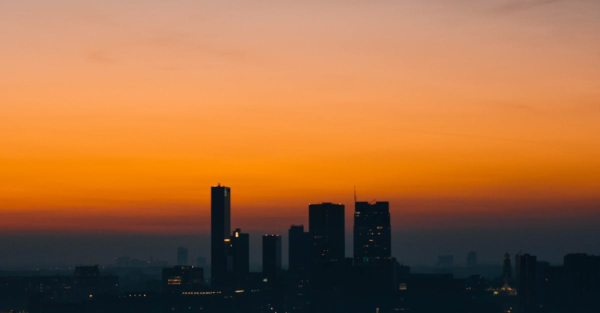 Essential Grammar Books for Learning Dutch in Rotterdam