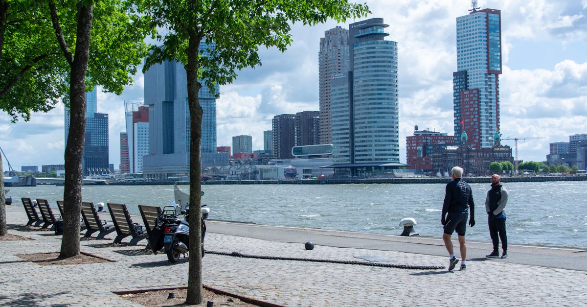 Exploring Dutch Literature: Courses for Advanced Learners