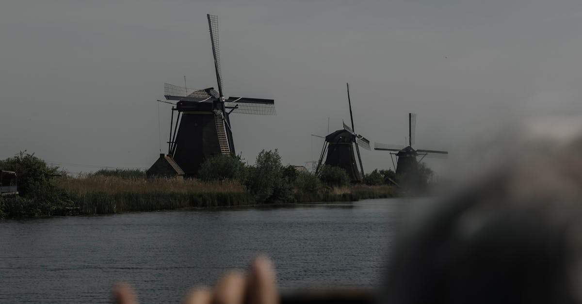 Exploring Rotterdam Through Beginner-Friendly Dutch Lessons
