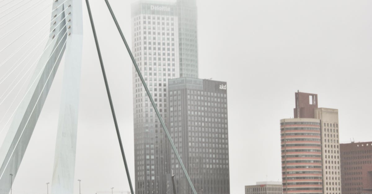 How to Choose the Right Tutor for Online Dutch Lessons