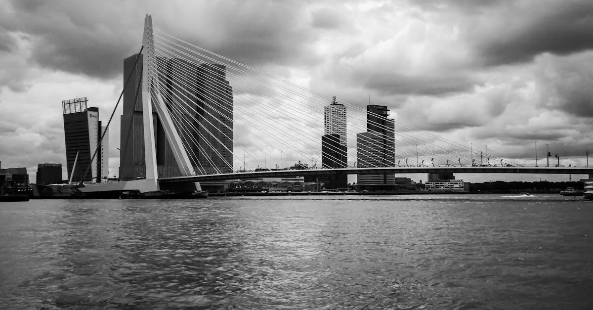 How to Use Language Apps to Boost Your Dutch Skills