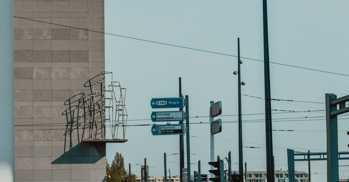Networking Through Dutch: Socializing While Learning