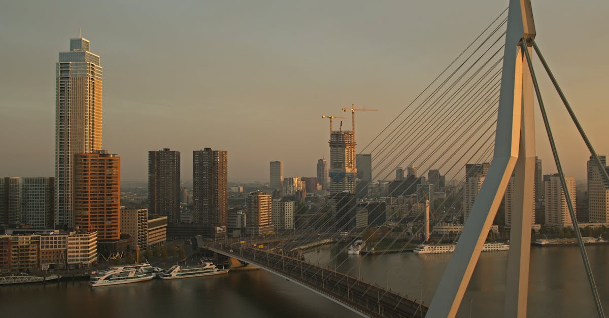 Preparing for Dutch Proficiency Exams: Advanced Strategies