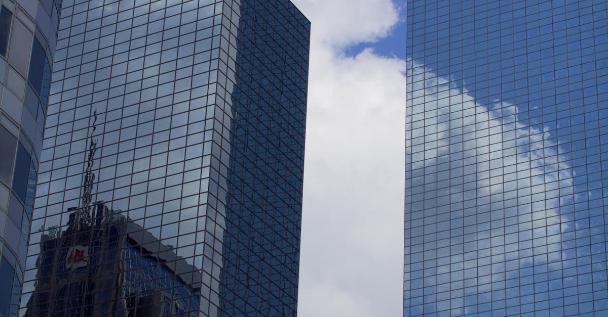 Pricing Strategies in Dutch: Financial Terms for the Workplace