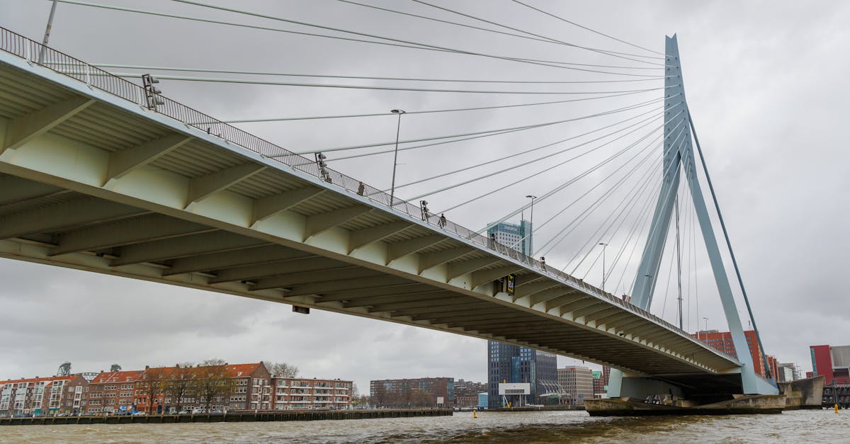 Specialized Vocabulary for Business Communication in Dutch