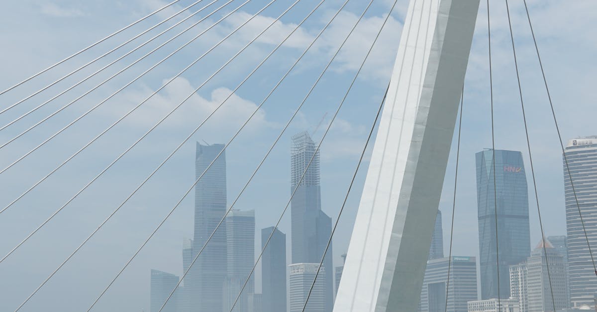 Strategies for Enhancing Participation in Online Dutch Classes