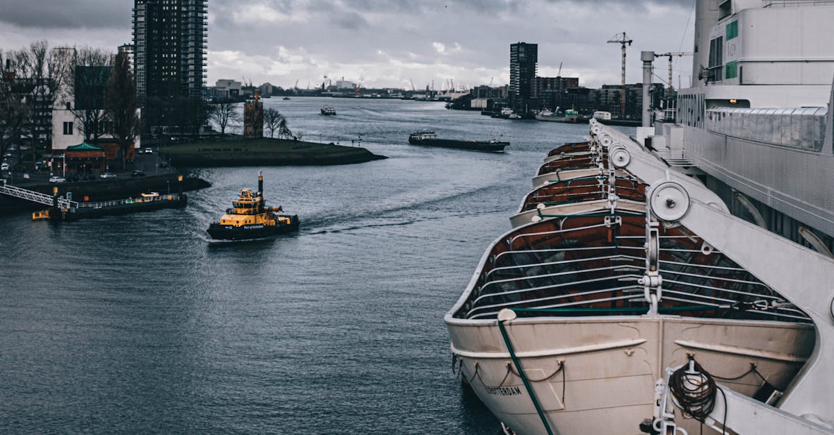 The Benefits of Individualized Dutch Lessons Online