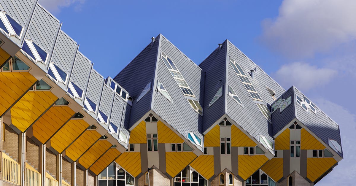 The Benefits of Speaking Dutch in Community Groups
