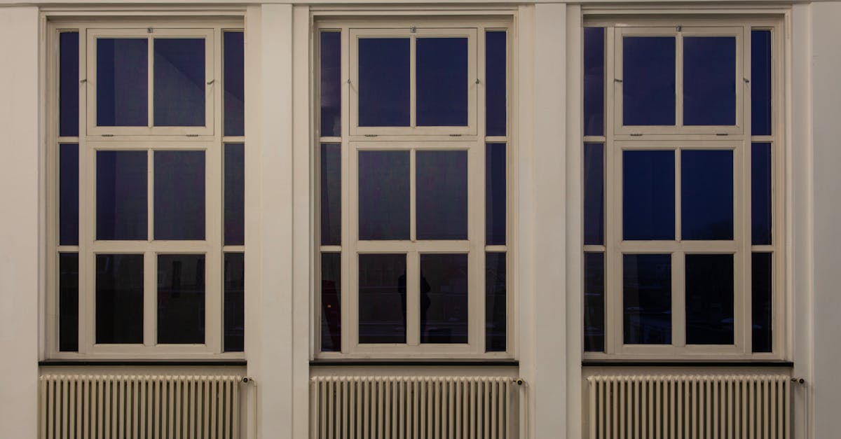 The Role of Cultural Exchange in Virtual Dutch Classes