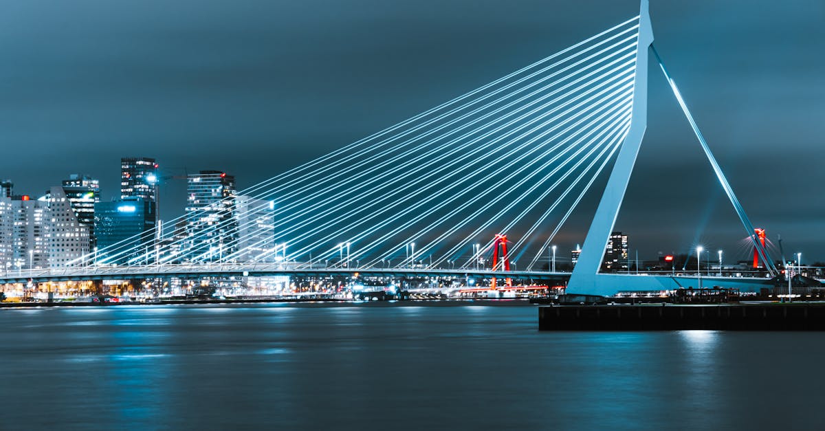 Tips for Finding the Right Virtual Group Class for Your Dutch Learning