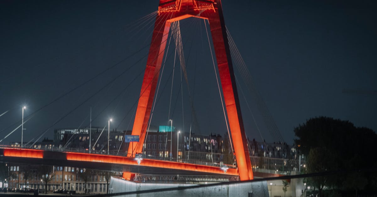 User-Friendly Websites for Interactive Dutch Lessons
